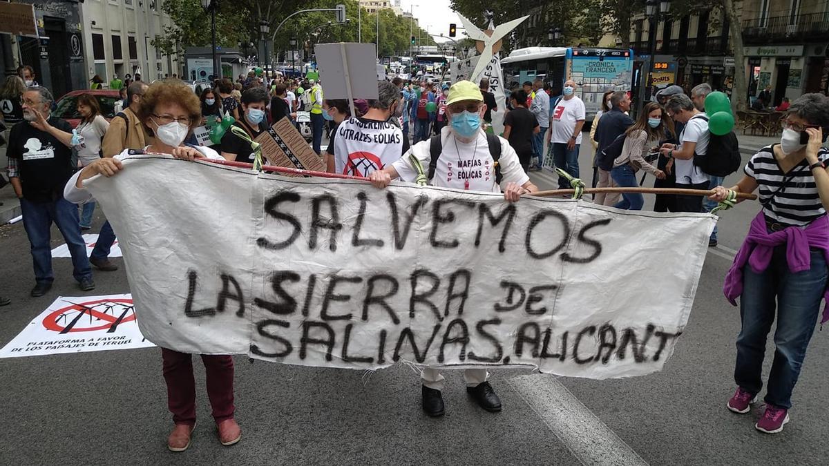 La Asociación Vecinos de Salinas en la manifestación del pasado sábado en Madrid.