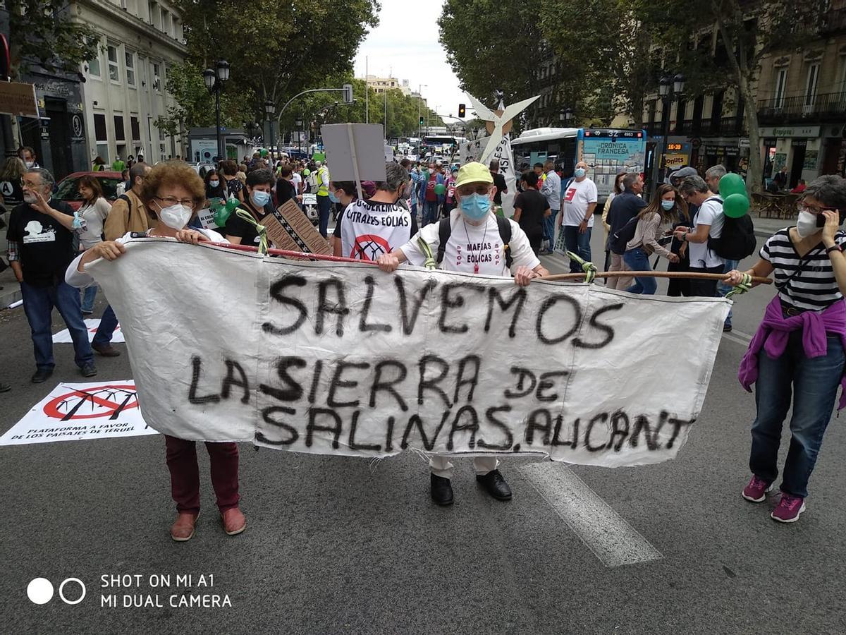 La Asociación Vecinos de Salinas en la manifestación del pasado sábado en Madrid.