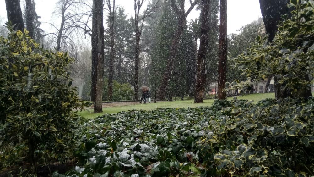 La nieve llega al centro de Oviedo