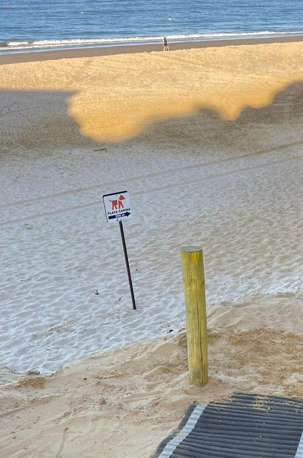 Playa canina de Matalascañas.