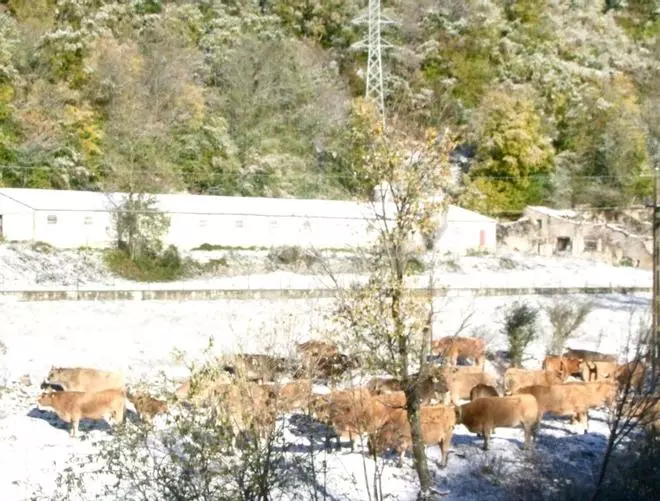 Nevada primerenca al Ripollès