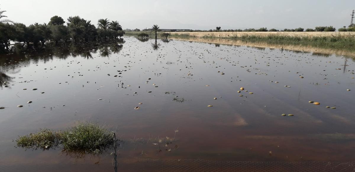 Inundaciones en Elche, en una imagen de archivo