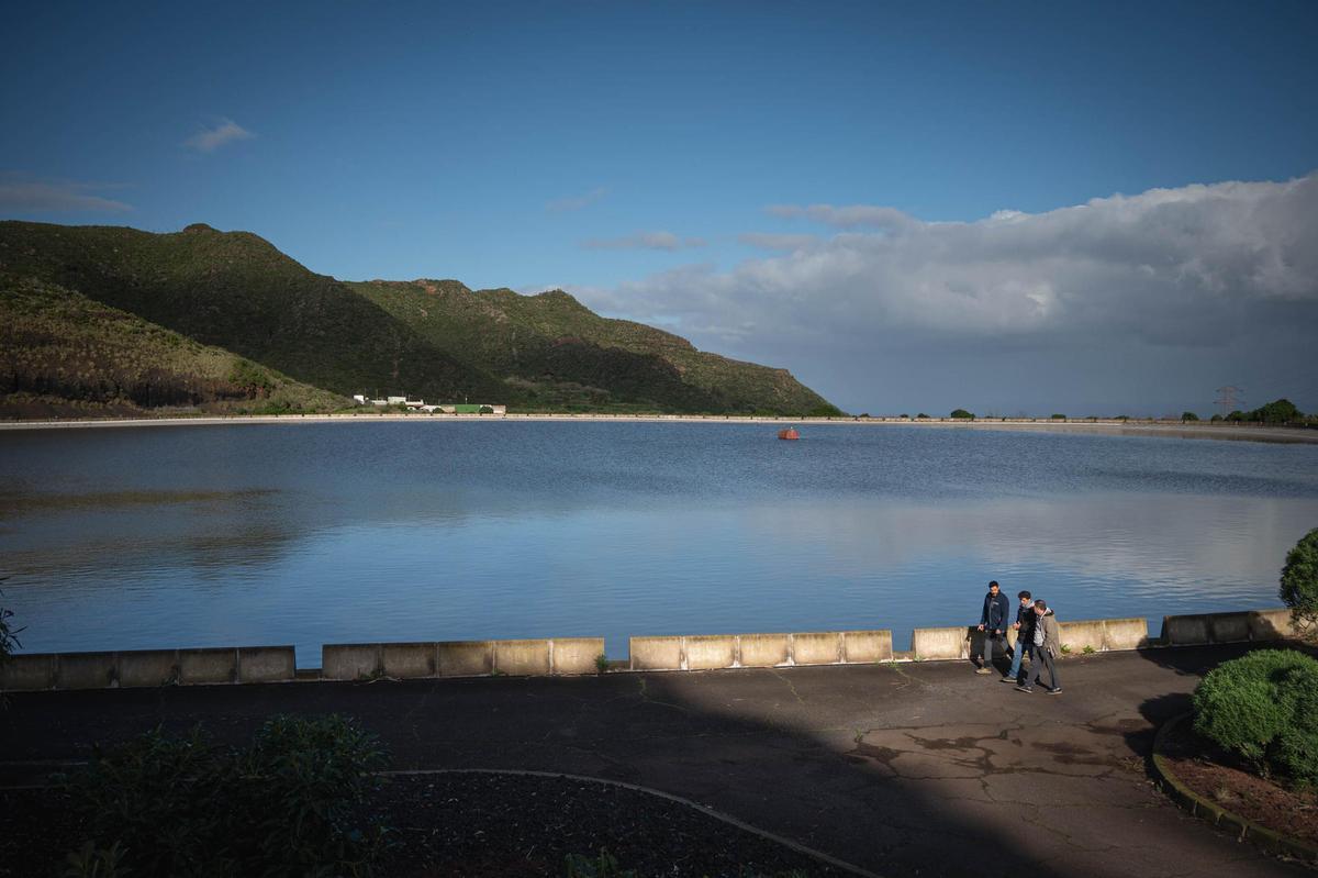 Balsa de Valle Molina, en Tegueste, en una imagen reciente.