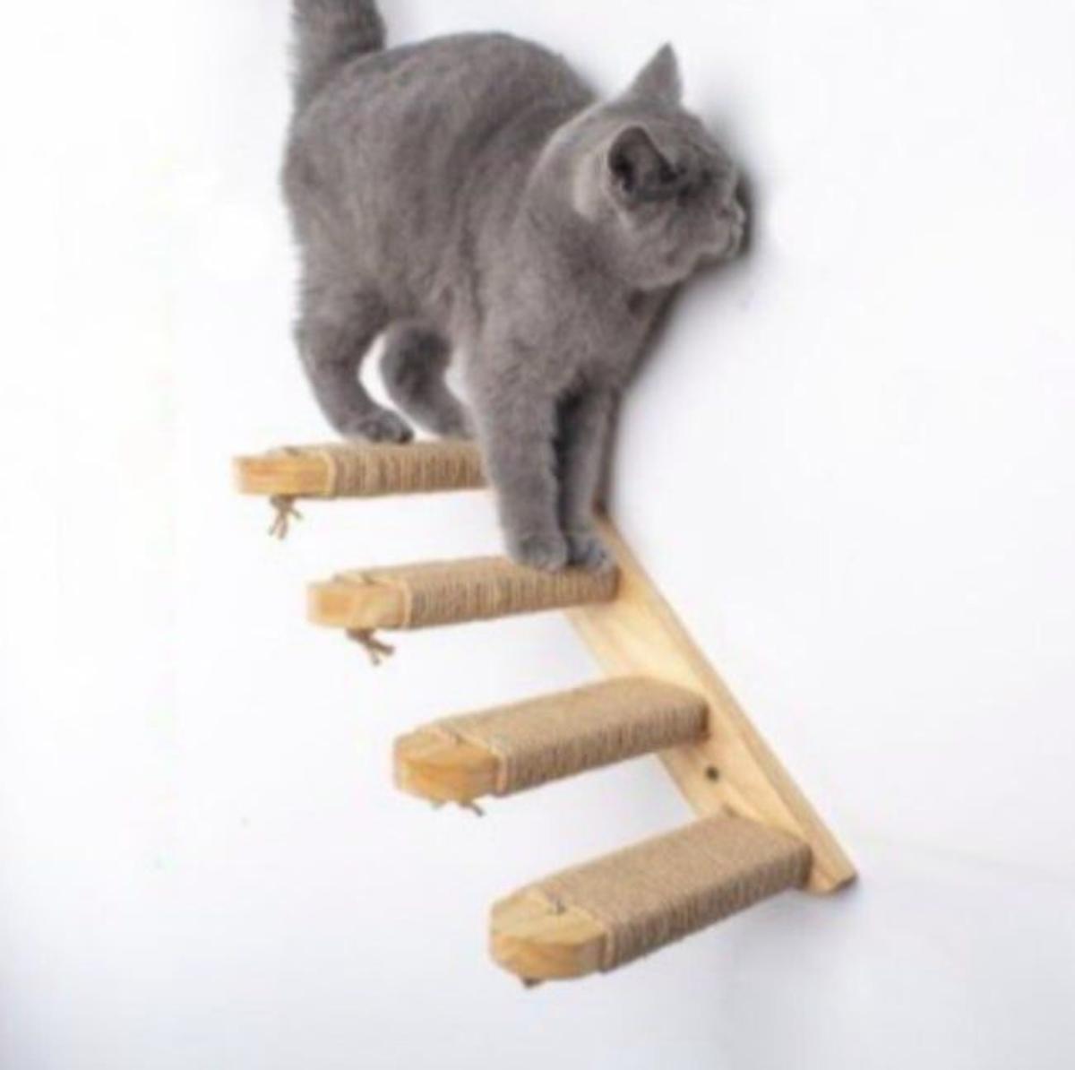 Escalera de pared para gatos