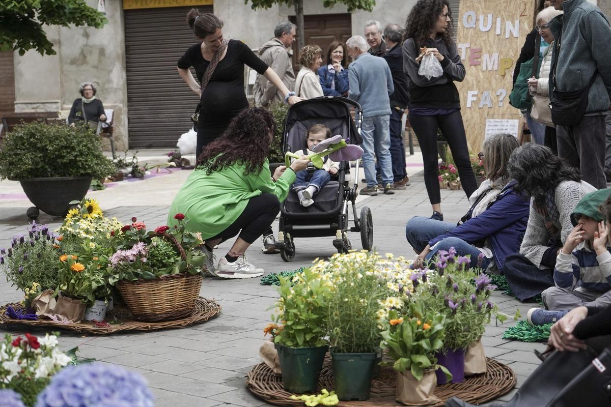 Carrers guarnits en l'edició de l'any passat