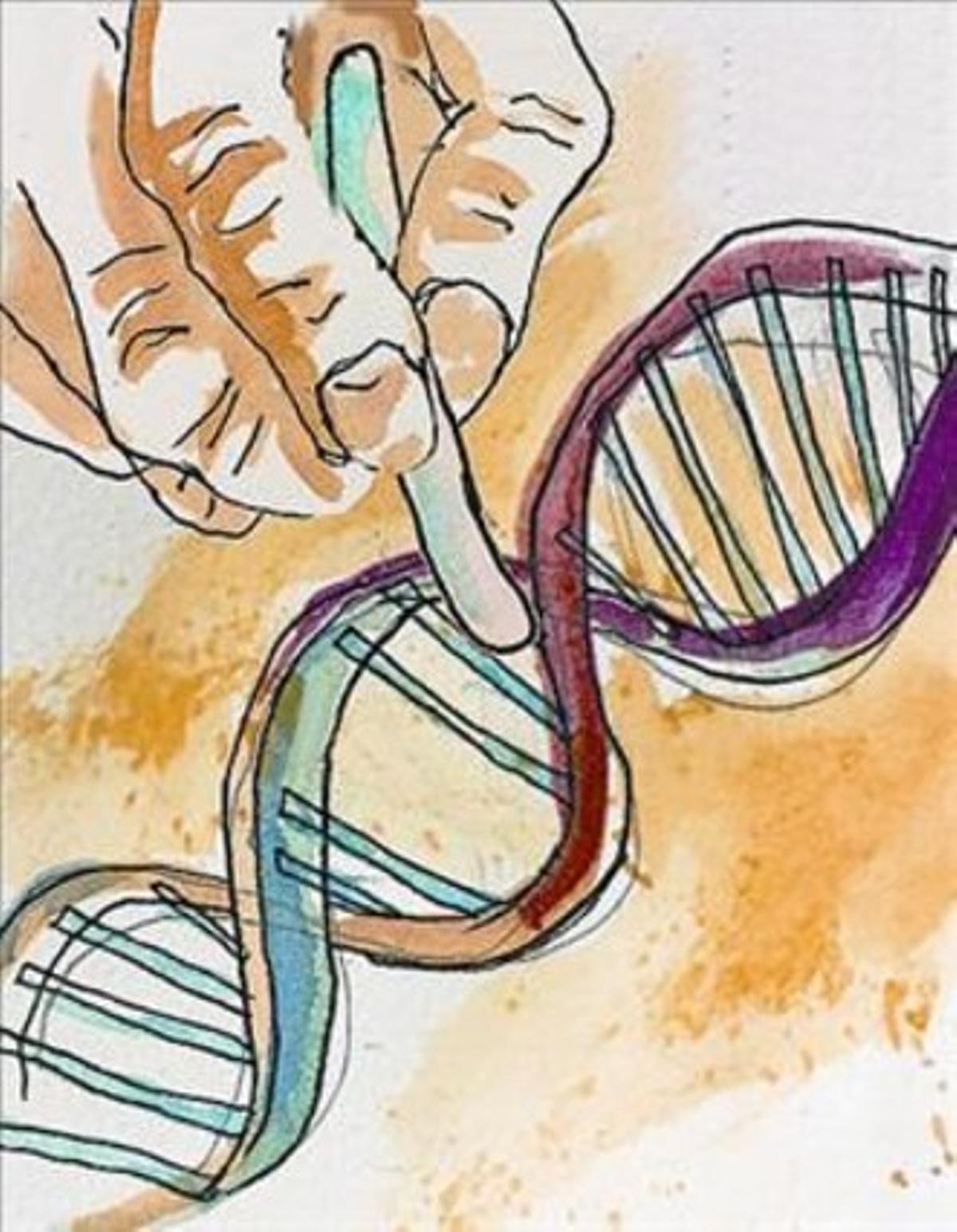 Ledició dels genomes_MEDIA_1