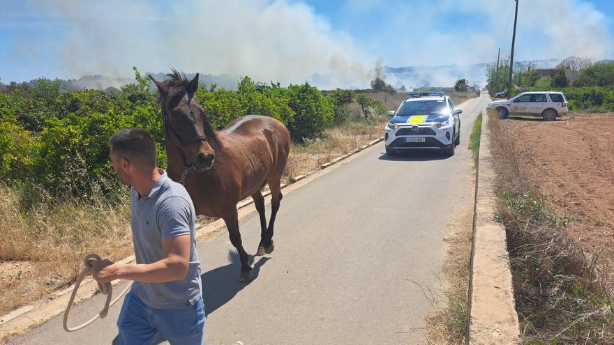 Un incendio en Riba-roja obliga a desalojar un picadero de caballos