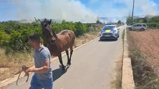 Los bomberos luchan contra un incendio forestal en Riba-roja
