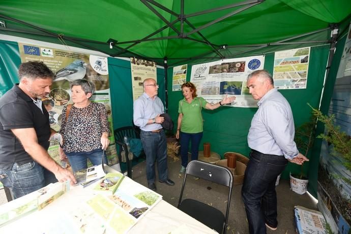 Feria Ecológica de Gran Canaria