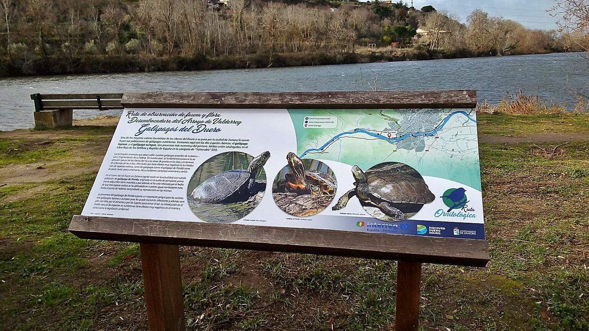 Panel instalado en el barrio de Olivares. | Cedida por el Ayuntamiento