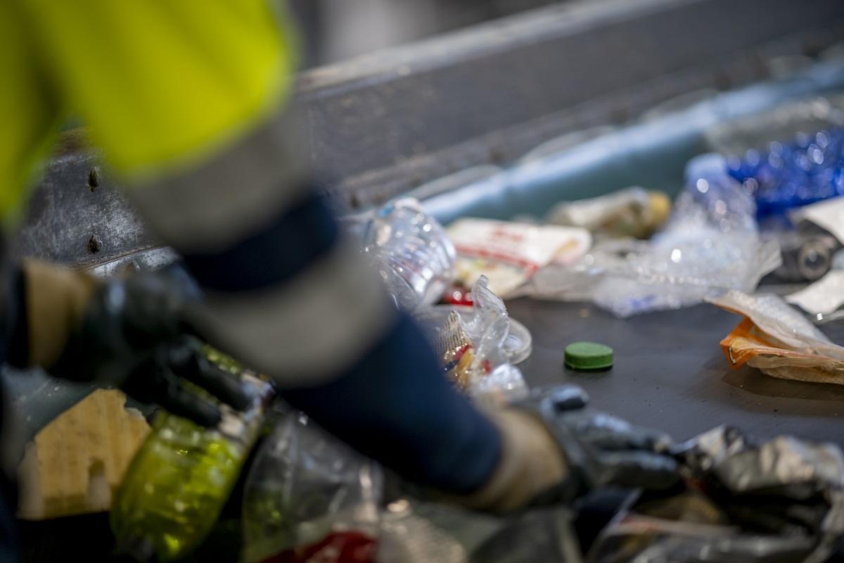 Planta de selección