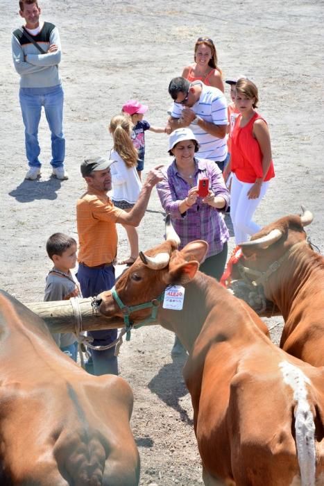 FIESTAS DE SAN PEDRO INGENIO