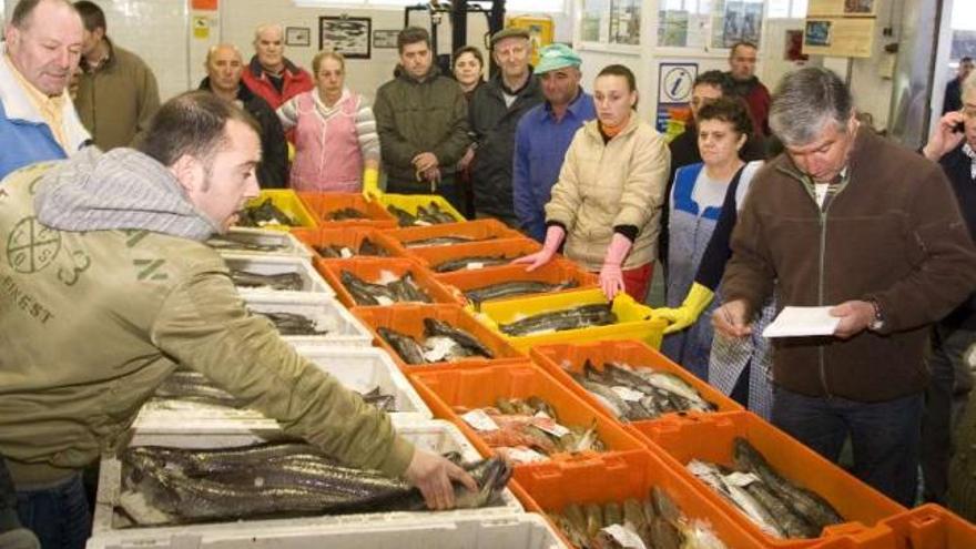 Subasta de pescado celebrada en una lonja gallega. / m. c. s.