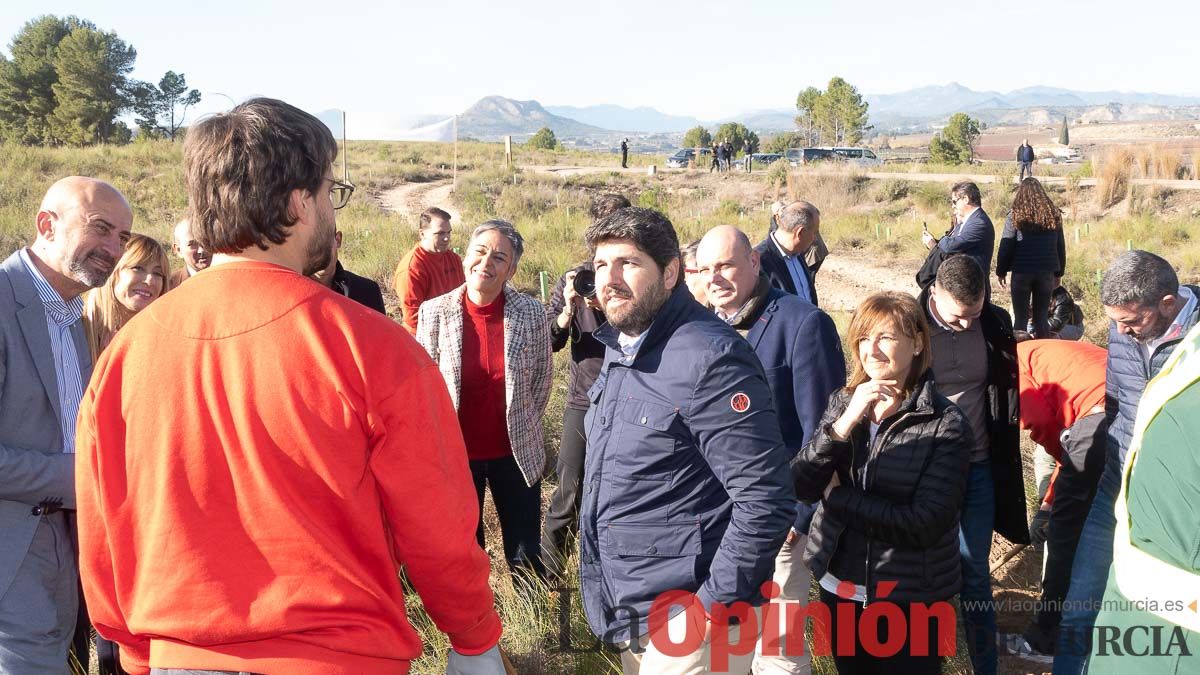 Bosque Disfrimur