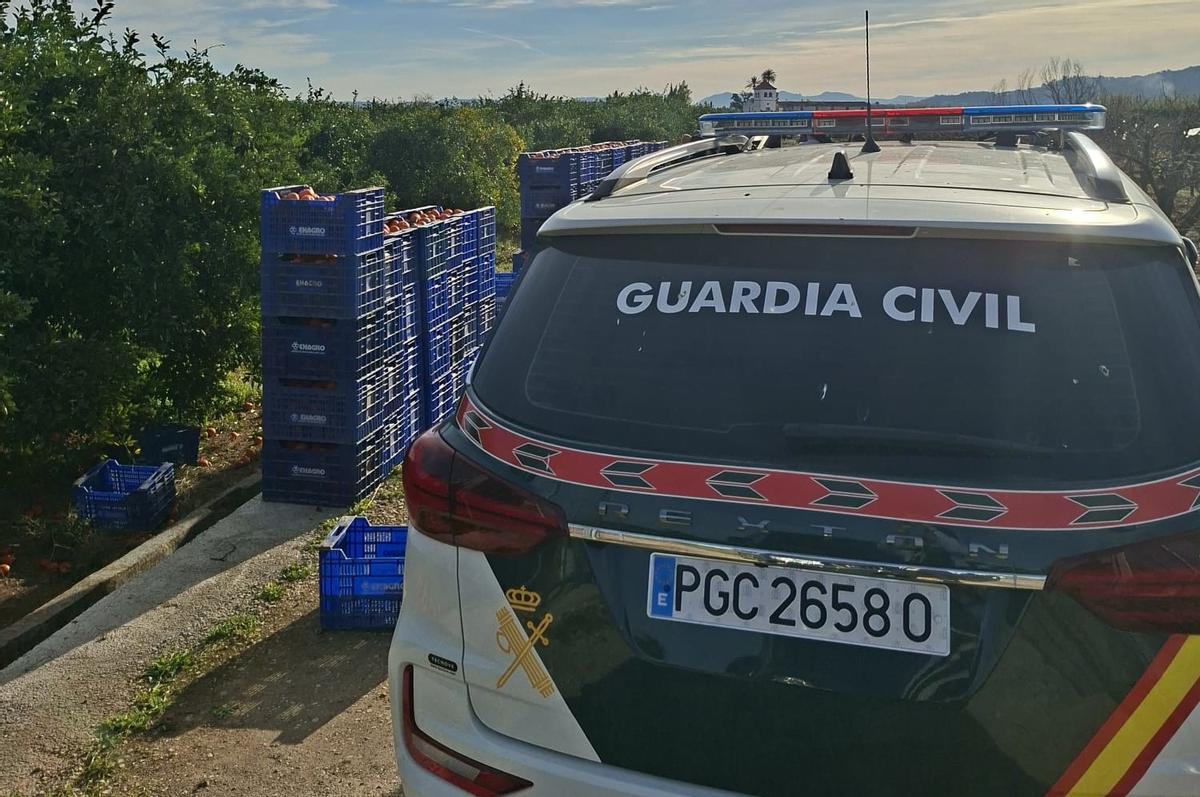 Un vehículo de la Guardia Civil, junto a decenas de cajones de naranjas.