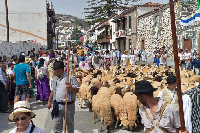 Carretas y grupos en la romería del Pino