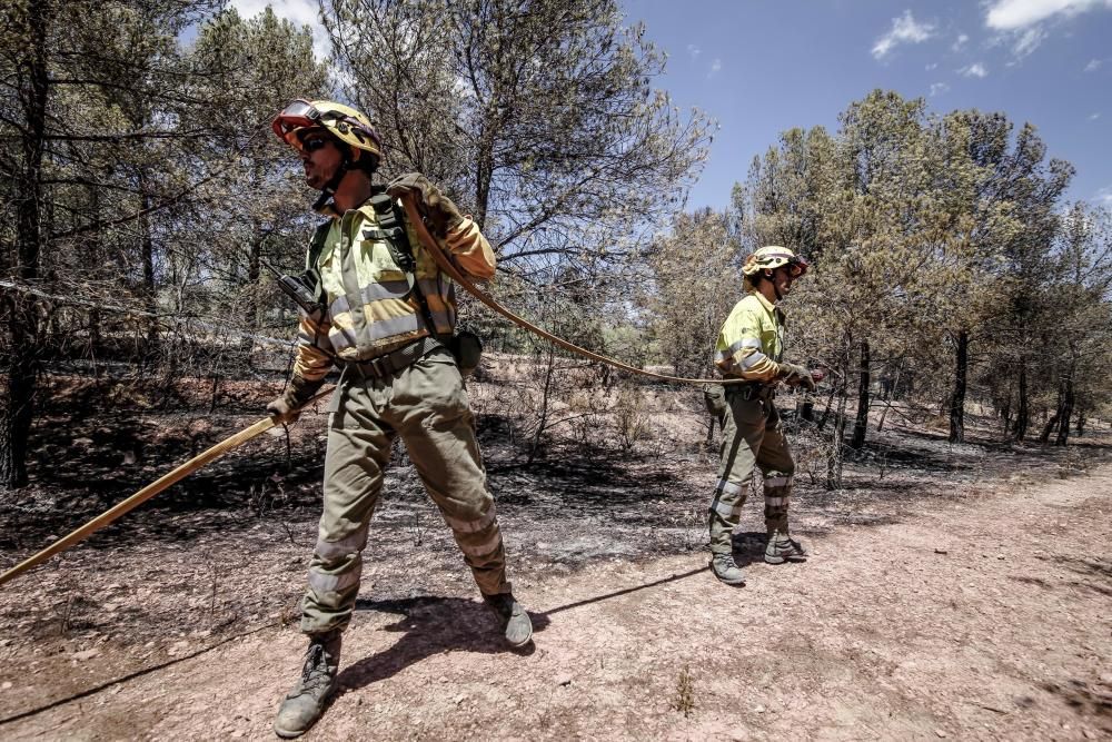 Incendio en La Torre de les Maçanes