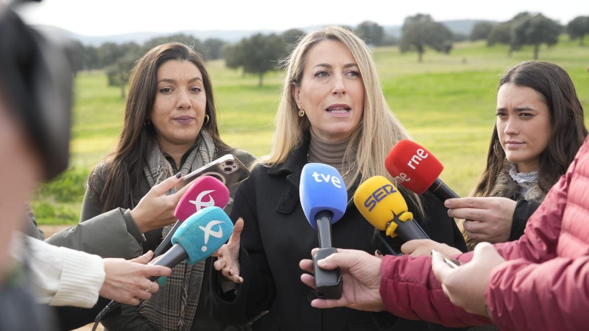 Guardiola lanzará una estrategia de apoyo a la ganadería extensiva si sigue gobernando tras el 21D