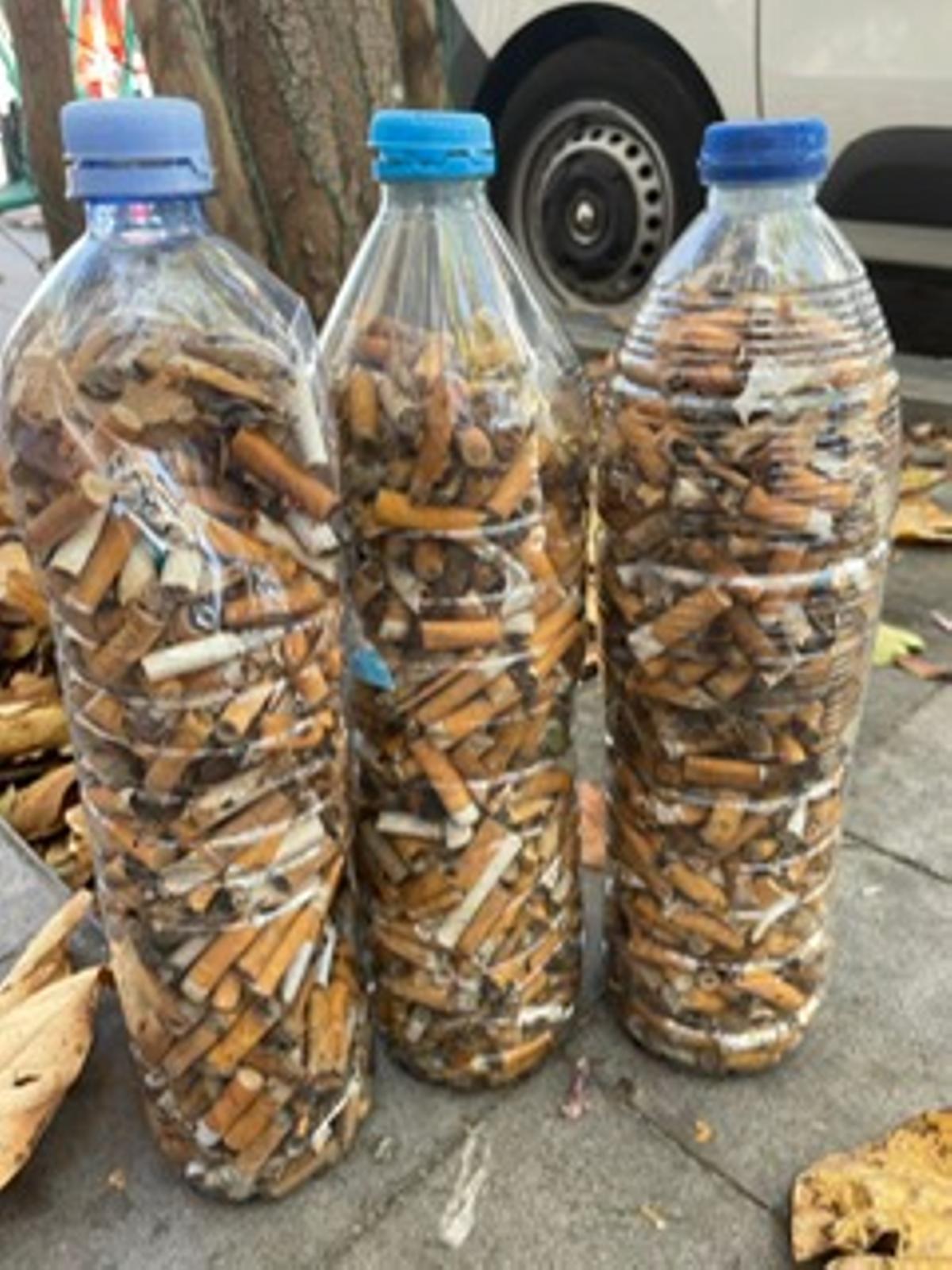 Recogida de colillas en Santa Cruz.