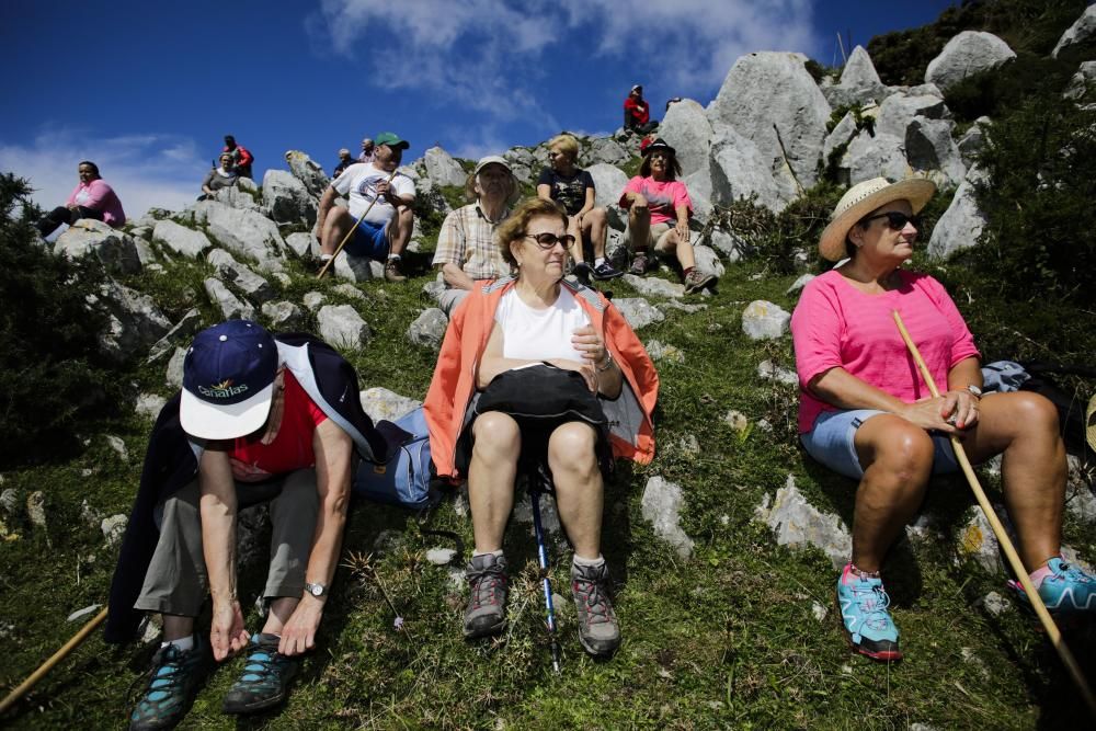 Fiesta del Asturcón en el Sueve