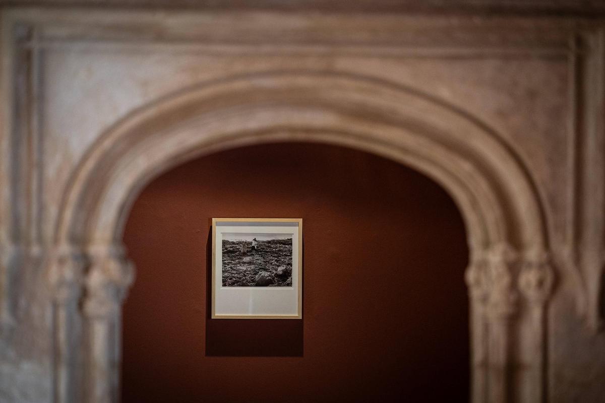 Todas las imágenes de la exposición del fotográfo Robert Häusser en el Museu Puget