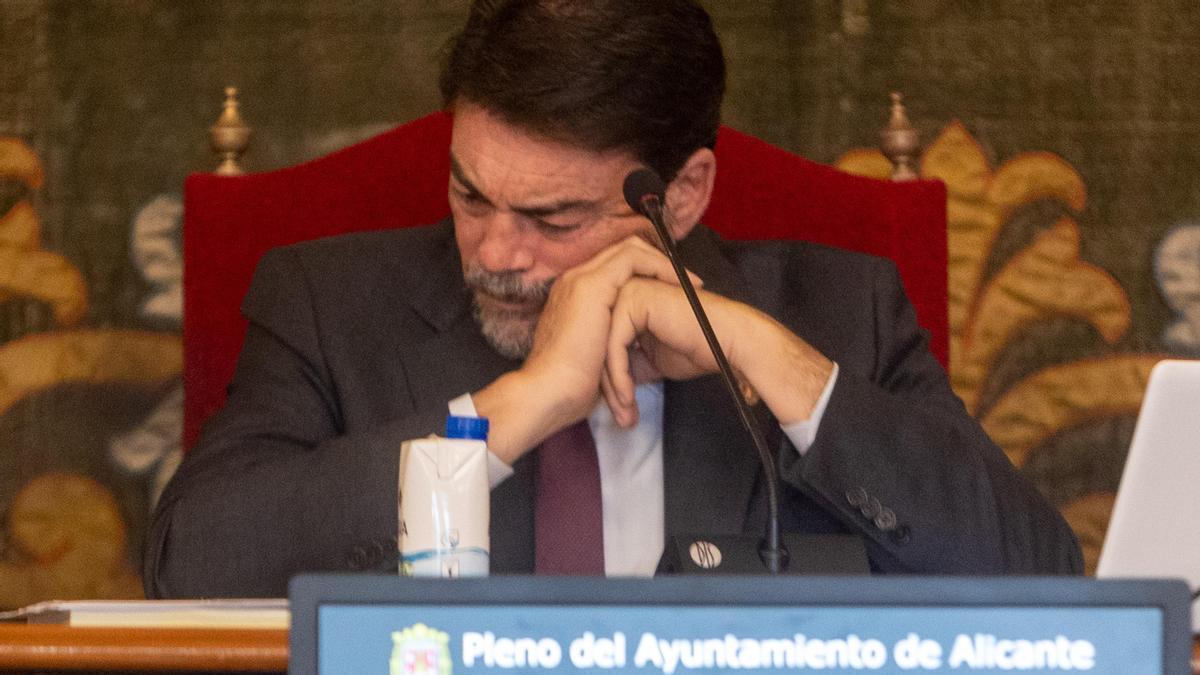 El alcalde de Alicante, Luis Barcala, durante un pleno de este mandato.