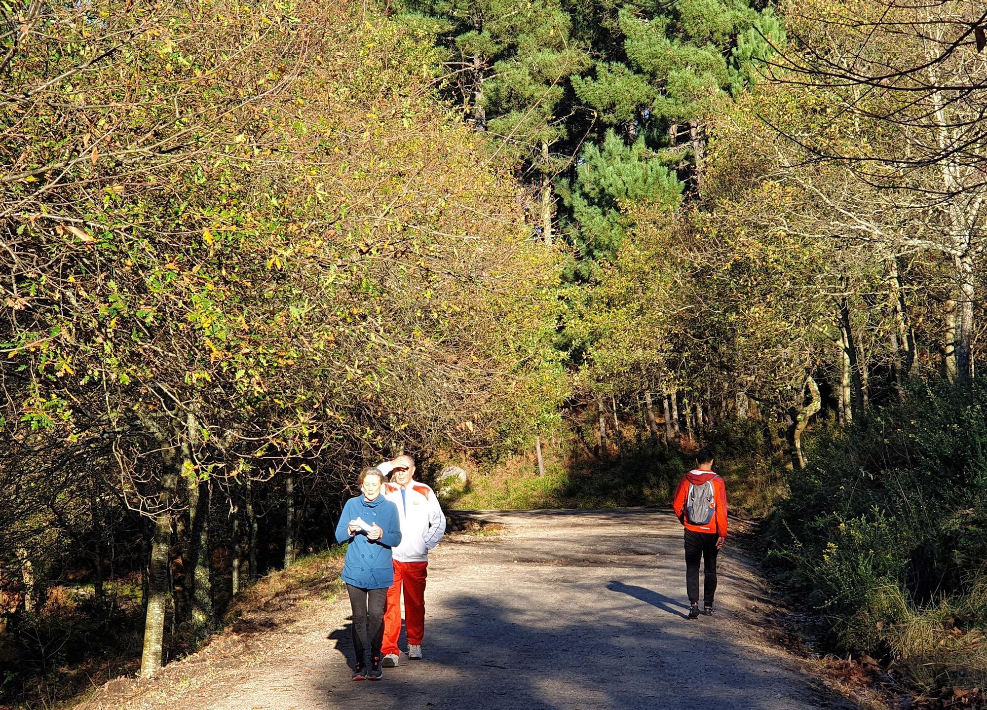 Vigo vuelve a la primavera por tres días