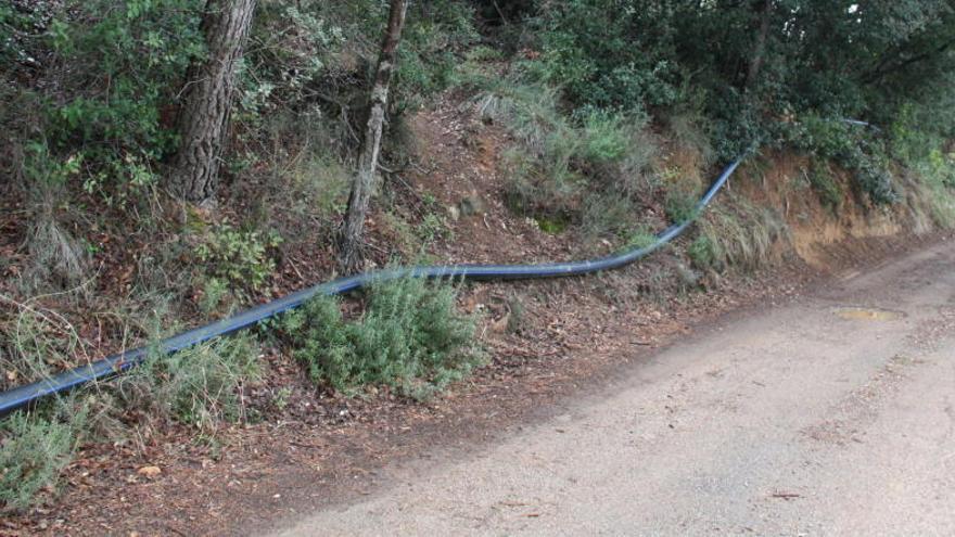 Un dels tubs de la xarxa provisional d&#039;aigua de Vilademuls que passa per un bosc