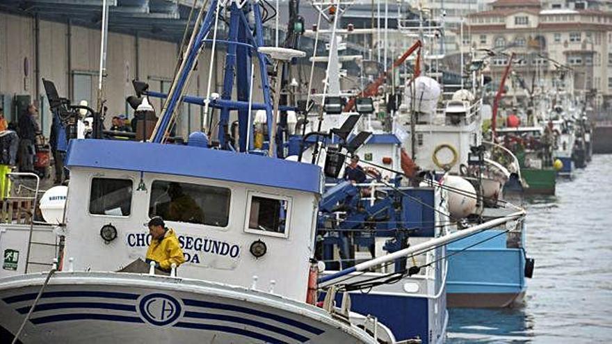 Parte de la pesquera cerquera amarrada en el puerto de A Coruña.