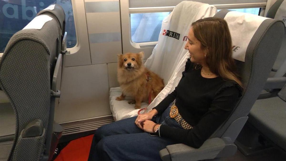 Una mujer  junto a su mascota en un tren de Renfe