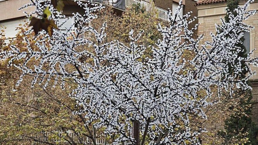 Sant Domènec, ahir, amb les tires  de llums i la pintada al terra