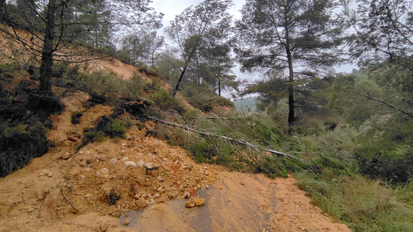Yátova solicitará la declaración de zona catastrófica tras el temporal que ha destrozado caminos rurales y parajes naturales