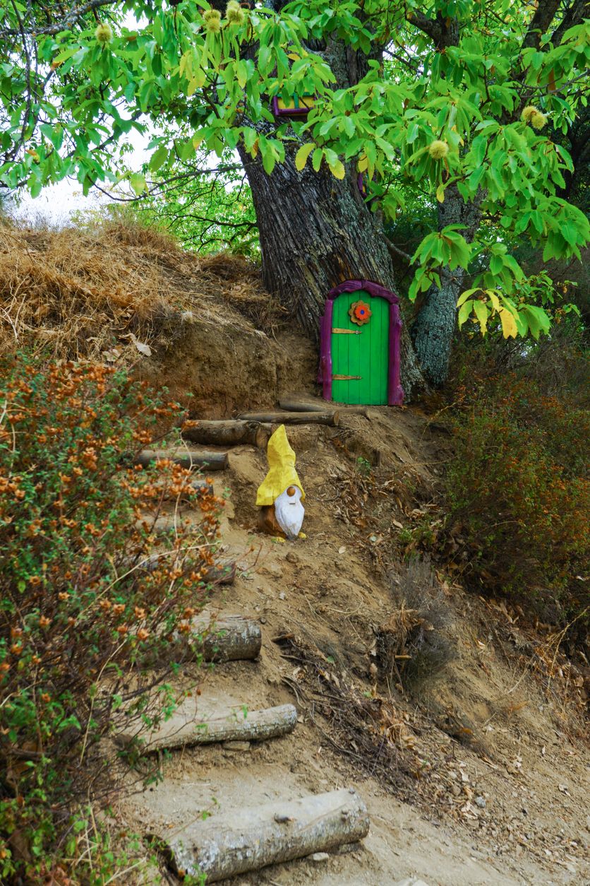 Casa para gnomos en un árbol del Bosque Encantado de Parauta