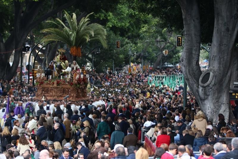 Domingo de Ramos de 2016 | Pollinica