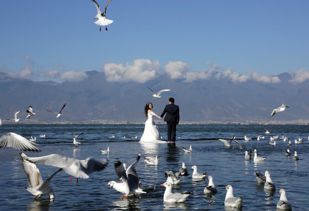 Una pareja de recién casados posa en el lago Erhai en Dali, suroeste de China.