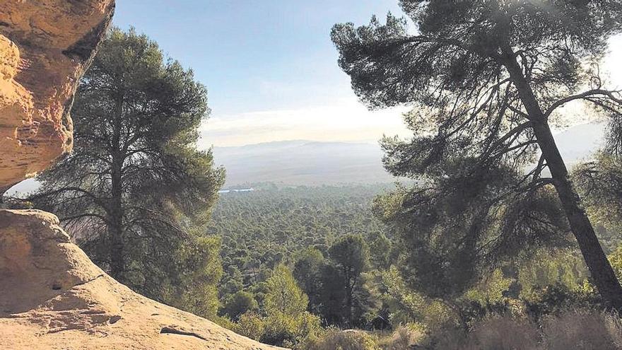 Qué hacer en la Región: Contempla la belleza del Monte Arabí al atardecer