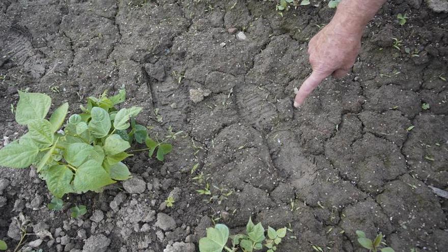 Els horticultors de Salt denuncien «botellons» i saquejos de nit   | MARC MARTÍ 