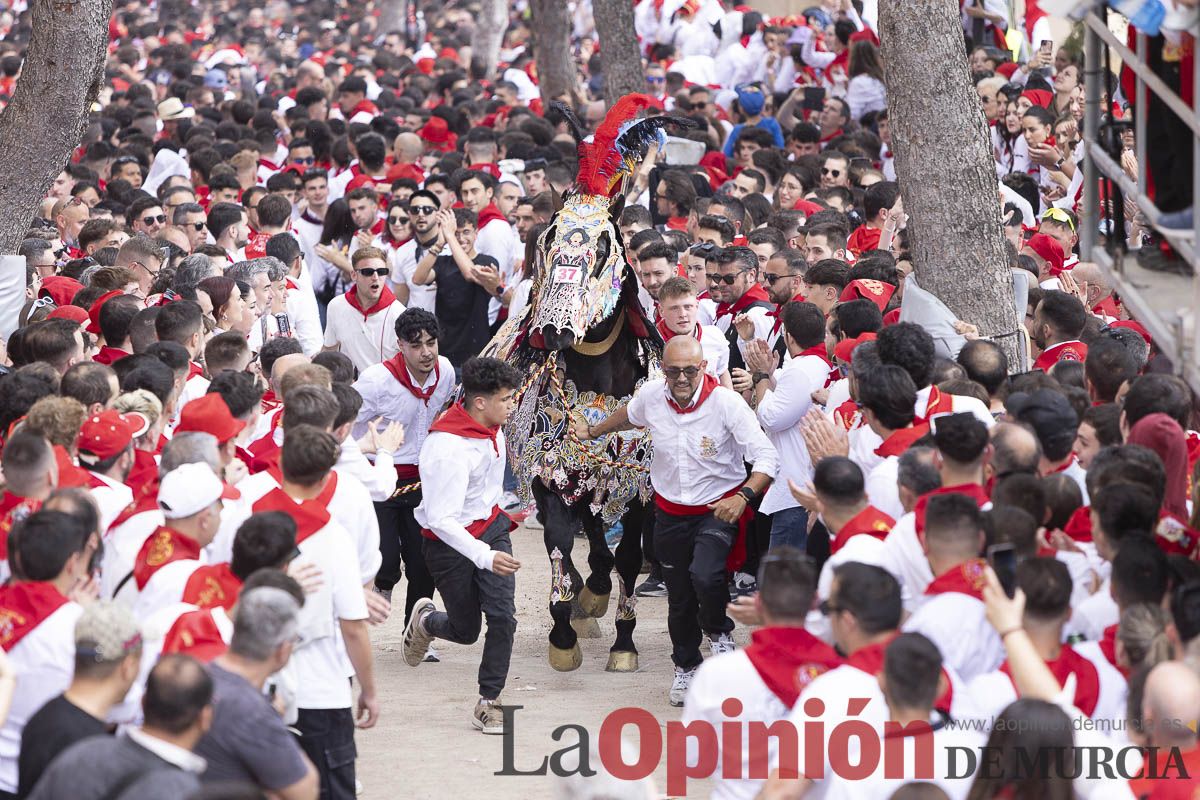 Así se ha vivido la carrera de Los Caballos del Vino en Caravaca