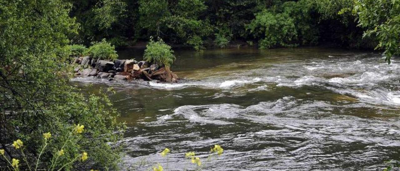 Restos de la tosta do Coto, en aguas del Deza a su paso por Cirela. // Bernabé/Javier Lalín