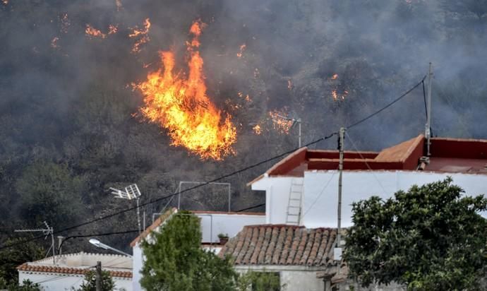 TEJEDA. Incendio en La Cumbre, El fuego frente a las casas del  barrio de Majuelo.  | 11/08/2019 | Fotógrafo: José Pérez Curbelo