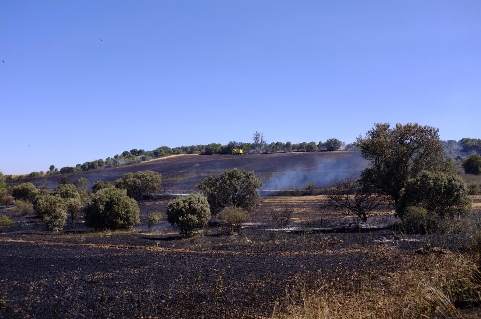 GALERÍA | El incendio forestal de Manganeses de la Polvorosa en imágenes