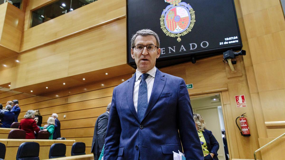 El líder del PP, Alberto Núñez Feijóo, en un pleno del Senado, a 31 de enero de 2023, en Madrid (España).