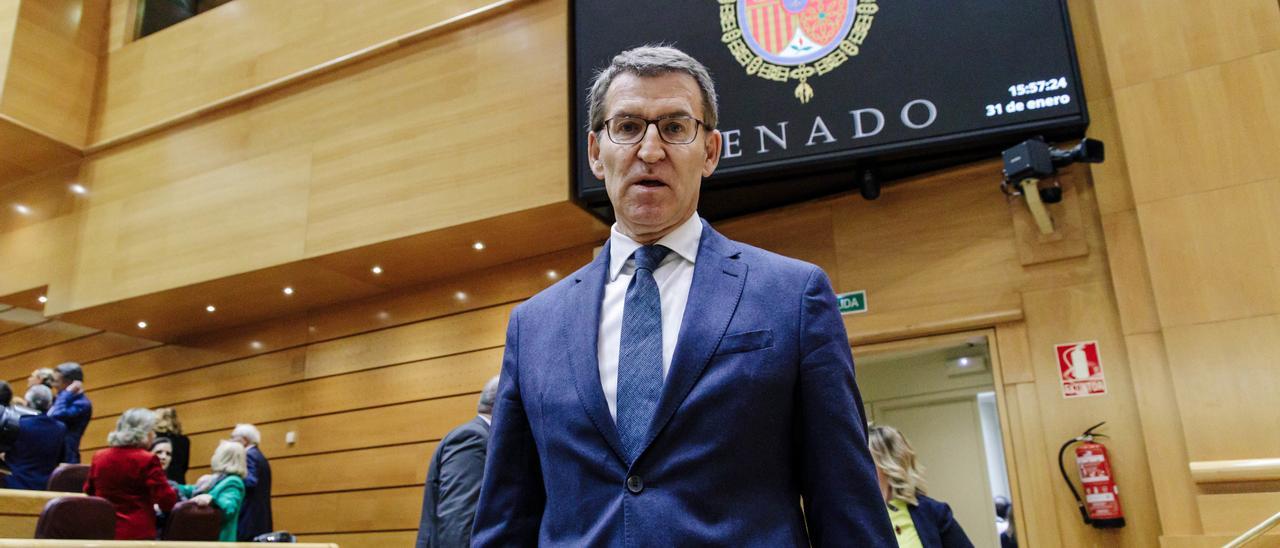 El líder del PP, Alberto Núñez Feijóo, en un pleno del Senado, a 31 de enero de 2023, en Madrid (España).