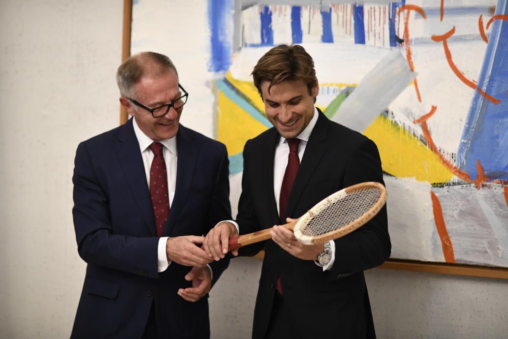 David Ferrer, Medalla de Oro al Mérito Deportivo