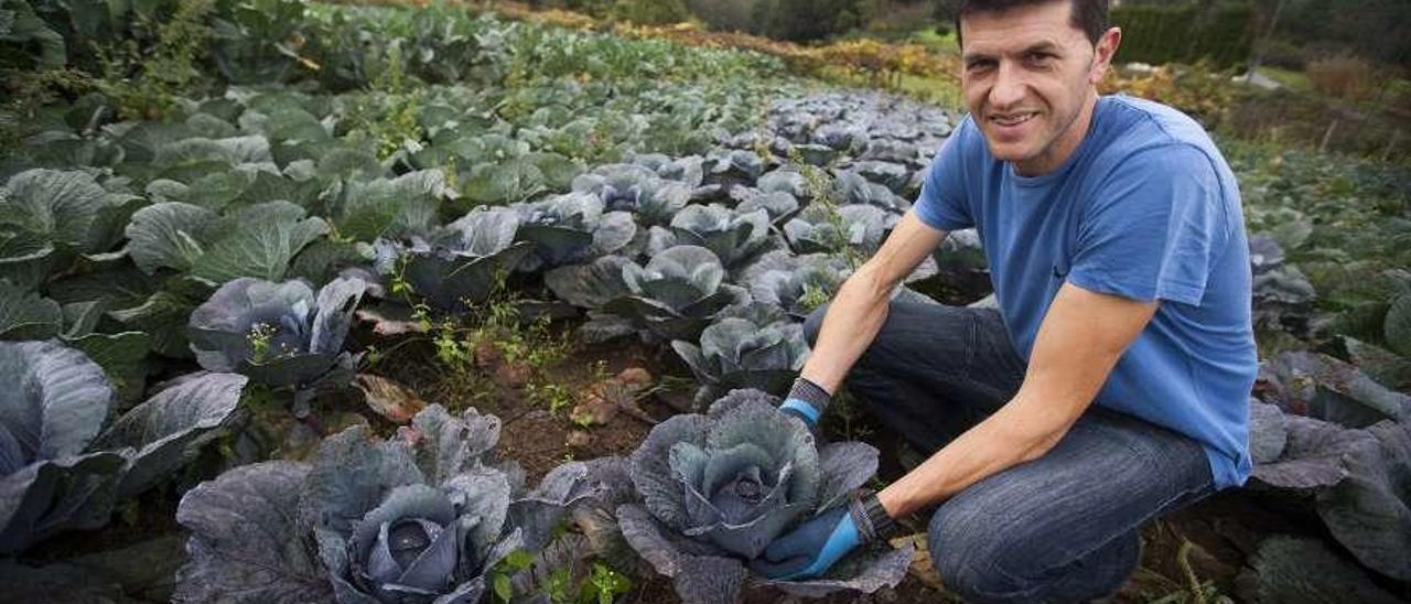 Óscar Fernández Cutrín, en su huerta de la parroquia estradense de Paradela. // Bernabé/Cris M.V.