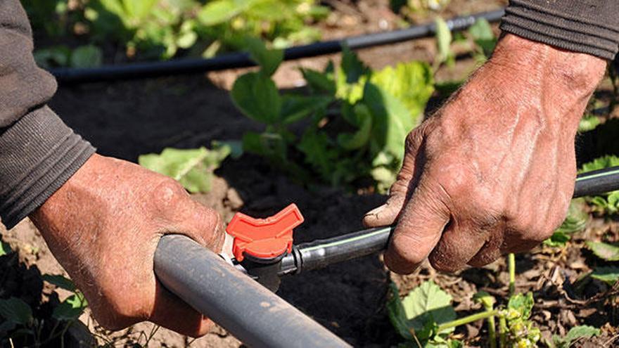 La modernización de regadíos mejora la gestión de los recursos hídricos en las explotaciones agrarias y favoreciendo su rentabilidad