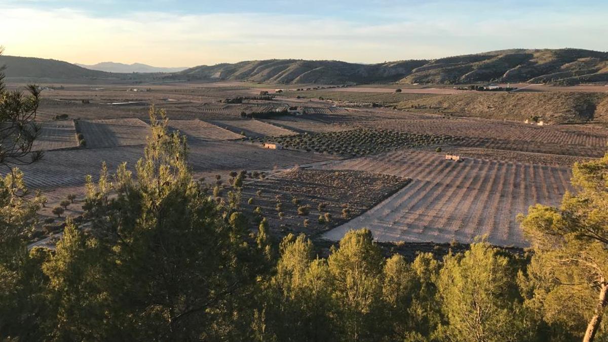 Terrenos donde se proyecta instalar una de las plantas solares dentro del perímetro de protección de la Sierra Salinas.