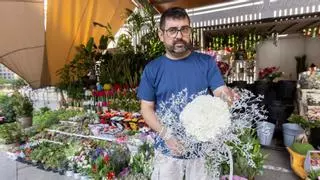 Alicante se llena de claveles para una Ofrenda de Flores multitudinaria