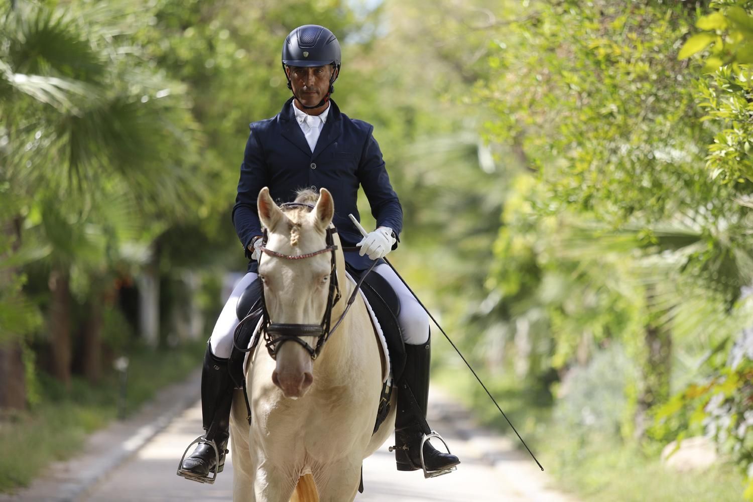 Campeonato de Europa del Caballo Lusitano