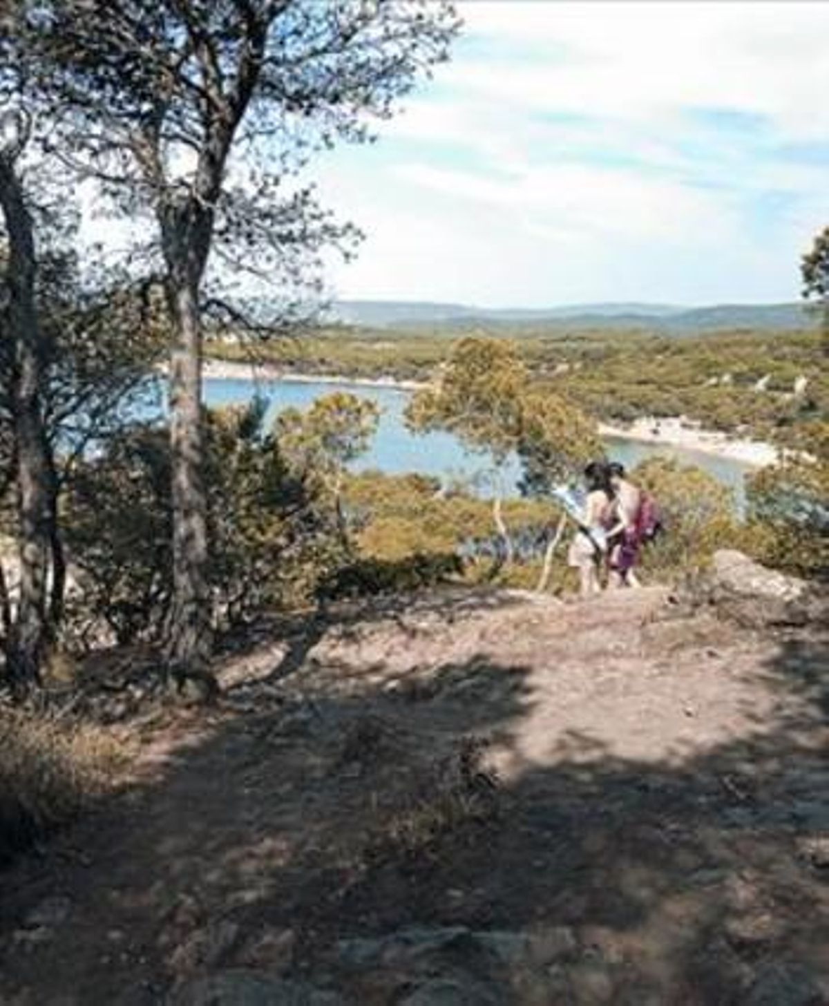 La ruta transcorre pel bosc, però molt a prop del mar.